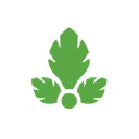 Parse logo