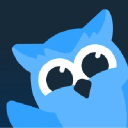 Netpeaksoftware logo