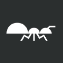 11Ants Analytics logo